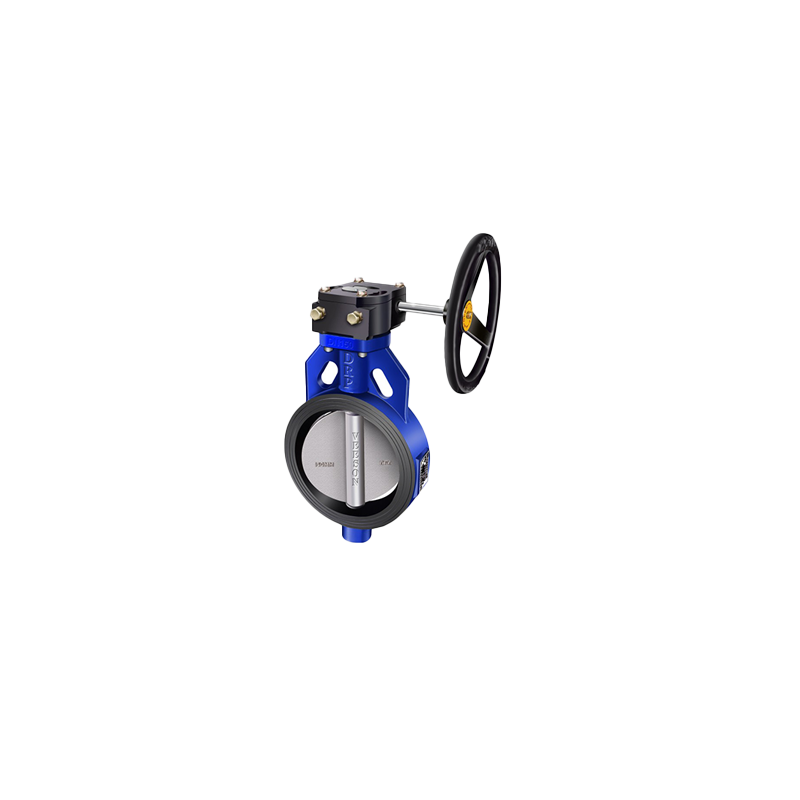 DRP CI Butterfly Valve - MI Disc - Gear