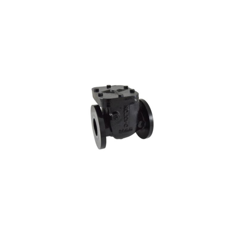 Zoloto CI Non Return Valve ISI Flanged PN16(Reflux Valve)