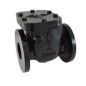 Zoloto CI Non Return Valve ISI Flanged PN16(Reflux Valve)