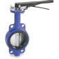 Ganesh CI Butterfly valve CI Disc Heavy