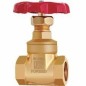 Leader Forged Brass Gate Valve ISI Marked