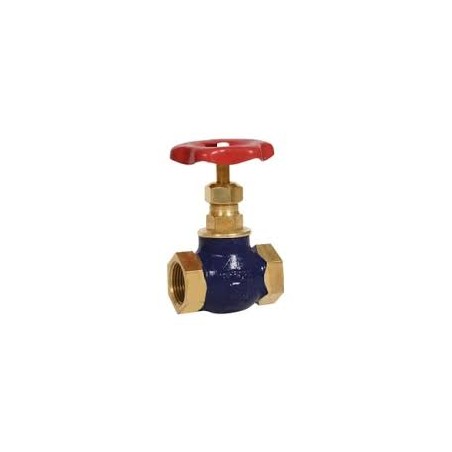 Globe Valve