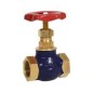 Leader G.M Globe Valve ISI Marked