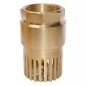 Leader G.M Foot valve Screwed End